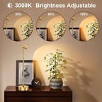 IMAGE Golden Cordless Spotlight High-Power Adjustable Table Accent Light for Plants, Artwork, Jewelry Displays, Shelves, and Cabinet, Warm White Wireless, USB Type-C, for Home, Restaurant, and Bar