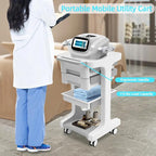 Professional 3-Tier 2-Drawer Salon Trolley Cart with Wheels Utility Cart with Drawers Mobile Storage Cart, Max 50kg/110lb Load, 16.14 * 16.14 * 26.38in (Grey)