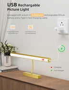 VOLISUN 16 inch Picture Lights for Wall, Rechargable Picture Light Battery Operated, 3 Color Temperatures Cordless Picture Light with Remote, Art Light for Paintings, Gallery, Portrait, 1 Pack (Gold)