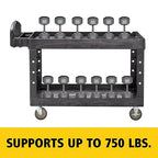 Rubbermaid Commercial Products BRUTE Heavy Duty 2-Shelf Utility/Service Cart, Medium, Lipped Shelves, Ergonomic Handle, 750 lb Capacity, Black, for Warehouse/Garage/Cleaning/Office
