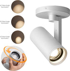 Aisilan White LED Zoomable Ceiling Spotlight 12W Dimmable Adjustable Beam Angle 10-55° Swivelable Angle CRI 97 Matt Aluminum Accent Lamp for Corridor Mural Living Room, Warm White 3000K