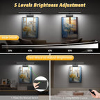 Lightbiz Picture Light, 20inch 6000mAh Rechargeable Picture Lights for Wall Battery Operated Wall Lights with Remote, 3 Colors Paintings Light Dimmable Art Light for Artwork, Gallery (Black)