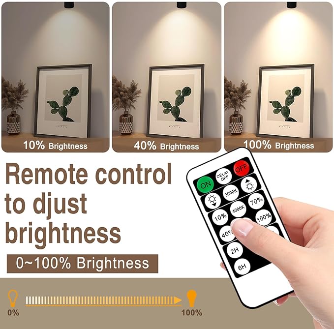 2 Pack LED Spot Lights - Dimmable with Timer & Remote,3W 3000K-5000K, 5.9FT Cord for Paintings,Wall Art, Indoor Plants & Home Accent Lighting