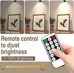 2 Pack LED Spot Lights - Dimmable with Timer & Remote,3W 3000K-5000K, 5.9FT Cord for Paintings,Wall Art, Indoor Plants & Home Accent Lighting