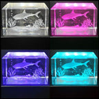 EUSTUMA LED Light Base Rectangle Display Stand In A Variety of Colors,Lighted Up Stand Color Changing Small LED for 3D Glass Crystal Art,Holiday Party Decoration. (Black, Small)
