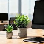 Artificial Potted Plants Faux Greenery in Cement Pots for Shelf, Bookshelf, Office or Home Decor, Small Decorative Fake Plants for Modern Indoor Display (9, XXXL)