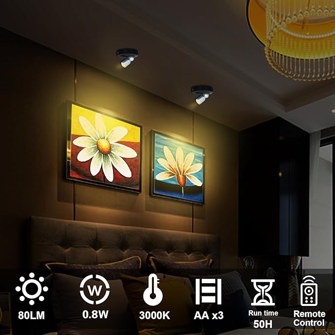 Spotlight Indoor, Battery Powered Spot Lights with Remote, Plant Uplights, Timer Dimmable Tree Spotlights, Picture Light for Wall Art Display Dartboard Painting Artwork Accent-2Pack