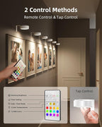 EZVALO Picture Lights for Wall, Rechargeable Battery Magnetic Poster Lights with 3 Color Temps & 12 RGB, Remote Dimmable Timer Light, Wall Decor Light for Art Display (6 Pack with Charging Station)