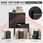 Metal Filing Cabinet With Lock, Vertical 2 Drawer Cabinet for Home Office/Legal/Letter/A4, Lockable for Hanging Files - Assembly Required/Black
