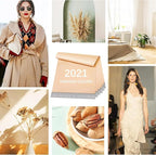 Metronic Poly Mailers 14.5x19 100 Pcs | Medium Size Shipping Bags for Clothes | Large Poly Mailer Bags, Shipping Envelopes, Mailing Bags for Small Business, Strong Adhensive Poly Bags Champagne