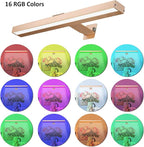 MIOBLUE Rechargeable Picture Light, Battery Painting Light Display Lamp with APP Music Sync Multi Dynamic Modes Timer Dartboard Artwork Light for Frame Portrait