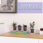Acrylic Shelf Riser 12x3.9x1 pack of 2, Iridescent Display Shelf 12” for Shoes, Glasses, Plants, Home Decors, Perfume, 12x3.9x1 Inch