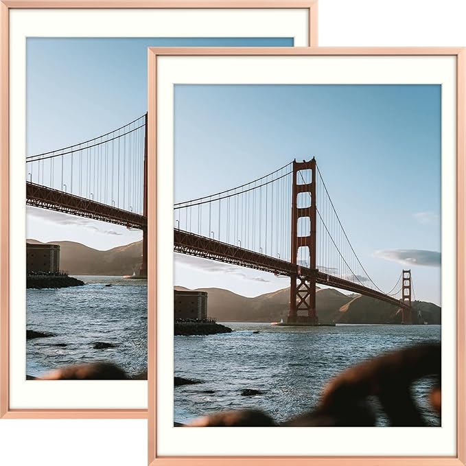 Frametory, 12x16 Metal Picture Frame with Mat for 11x14 Picture & Real Glass, Aluminum Photo Frame Collection (Rose Gold, 2 Pack)