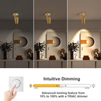 12W LED Gold Dimmable Zoomable Ceiling Spotlight Indoor – Adjustable Surface Mount Accent Light for Corridor, Living Room, Plants & Painting | Warm White 3000K CRI 97, Flicker-Free, 4 Packs