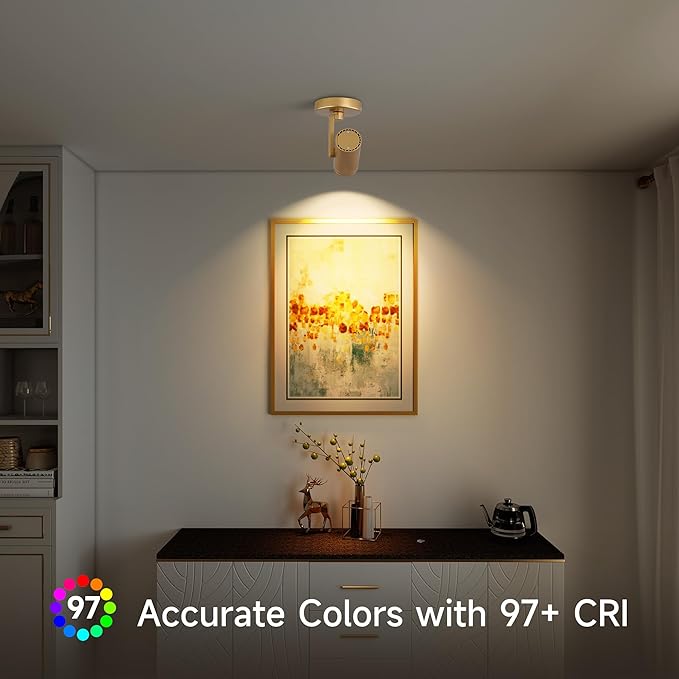 12W LED Gold Dimmable Zoomable Ceiling Spotlight Indoor – Adjustable Surface Mount Accent Light for Corridor, Living Room, Plants & Painting | Warm White 3000K CRI 97, Flicker-Free, 2 Packs