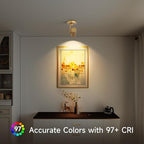 12W LED Gold Dimmable Zoomable Ceiling Spotlight Indoor – Adjustable Surface Mount Accent Light for Corridor, Living Room, Plants & Painting | Warm White 3000K CRI 97, Flicker-Free, 2 Packs