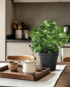 Small Fake Plants Mint Artificial Potted Plants for Home Office Bathroom Shelf Farmhouse Coffee Table Decor (Green)