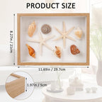 liomey Shell Ornament Christmas Decor 11.69" x 8.27" Coastal Wall Art Wooden Frame with Natural Conch Shells, Nautical Beach Home Decor, Ocean Themed Display for Living Room, Bedroom, Office(Two starfish and four conchs)
