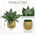 Hollyone Artificial Snake Plants 9" Faux Agave Succulent Plant Potted in Gold Metal Pot Fake Sansevieria Aloe Tropical Plant for Desk Modern Office Home Bathroom Indoor Outdoor Decor