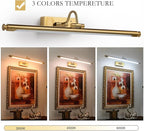 Wireless Picture Light, 23.6" Rechargeable LED Art Lamp with Remote, Dimmable Brightness, Timer & Adjustable Arm for Paintings, Mirrors, and Frames