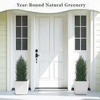THE BLOOM TIMES 3ft Topiary Trees Artificial Outdoor Set of 2, UV Resistant Faux Cedar Pine Cypress Bushes & Shrubs, Fake Plants for Front Porch Outside Planter Patio Christmas Decor 3 Foot Tall