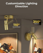 PESUTEN Spot Lights Indoor, Rechargeable Picture Light with Remote, Dimmable CCT Spotlight for Wall Art, 6000mAh Battery Uplights Indoor with Timer for Plant Artwork Painting Sofa Corner Light Gold