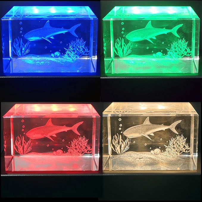 EUSTUMA LED Light Base Rectangle Display Stand In A Variety of Colors,Lighted Up Stand Color Changing Small LED for 3D Glass Crystal Art,Holiday Party Decoration. (Black, Small)