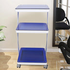 3 Tier Steel Rolling Utility Cart Storage Organizer Carts,3-Shelf Glass and Steel Den-tal Equipment Mobile Trolley Service Cart with Wheels,Load 66LBS