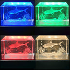 EUSTUMA LED Light Base Rectangle Display Stand In A Variety of Colors,Lighted Up Stand Color Changing Small LED for 3D Glass Crystal Art,Holiday Party Decoration.