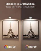 EZVALO Picture Lights for Wall, 2000mAh Rechargeable Battery Magnetic Poster Lights with 3 Color Temps & 12 RGB, Remote Dimmable Timer Painting Light, Wall Decor Light for Art Display, Frame (3 Pack)