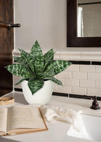Hollyone Artificial Snake Plants 9" Faux Agave Succulent Plant Potted in White Pot Fake Sansevieria Aloe Tropical Plant for Desk Modern Office Home Bathroom Indoor Outdoor Decor