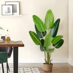Artificial Bird of Paradise Plant 5.2Ft Fake Tropical Palm Tree with 10Trunks Faux Banana Leaf Trees in Pot for Home Indoor Outdoor Office Modern Decor Housewarming Gift（2Pcs）