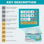 Industrial Counting Scale 30kg/66lb x 0.1g Digital Inventory Counting Scale High Precision Electronic Gram Scale with Battery DC/AC Power for Parts Jewelry Coins (g/kg/lb/oz)