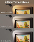Picture Light for Wall, Battery Operated Art Light for Paintings CCT Dimmable Recharging Gallery Battery Wall Light with Remote Control for Living Room Gallery Dartboard Art Bathroom