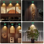 Cordless Spotlight Battery Operated, Rechargeable Plant Spot Lights, Dimmable Accent Lighting with Remote, LED Uplight for Picture Tree Painting Gallery Portrait Dartboard Art Photo, Green
