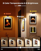3 Pack Picture Lights for Wall with RGB Colors, Battery Powered Art Painting Lights with Remote, Cordless Picture Light for Posters, Rechargeable Wall Sconces