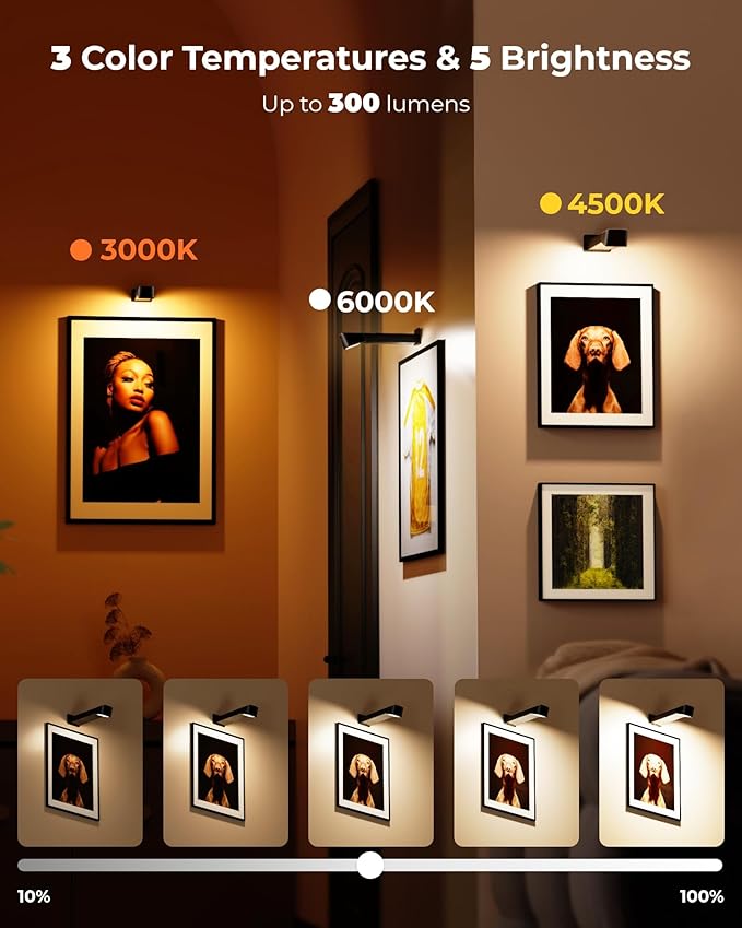 3 Pack Picture Lights for Wall with RGB Colors, Battery Powered Art Painting Lights with Remote, Cordless Picture Light for Posters, Rechargeable Wall Sconces