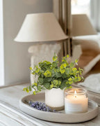 Small Fake Eucalyptus for Decorative Trays,9.5" Artificial Eucalyptus Ceramic Potted Plants for Office Desk,Faux Greenery Plant for Home Bathroom Floating Shelves Decor(Green)