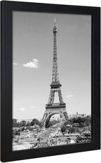 VCK 13x19 In Poster Frame Black Wood with Plexiglass Set of 5 Picture Frames without Mat for Wall Decoration
