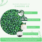 12 Pieces 20” X 20” (33.3 Sq.Ft) Artificial Hedge Boxwood Panels UV Protected Boxwood Hedge Grass Wall Green Greenery Plant Mats Backdrop Panels for Indoor Outdoor Garden Backyard Fence