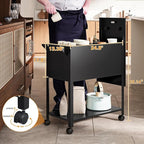 Mobile File Cabinet, 2 Tier File Cart with Wheels Hanging Files, Metal Rolling Cart with Lock and Sliding Cover for Office, Mailrooms, Cubicles, Classrooms, Libraries, Black