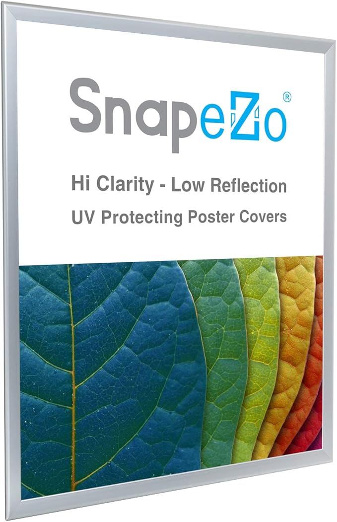 SnapeZo Poster Frame 36x48, Silver, 1.25 Inch Aluminum Profile, Front-Loading Snap Frame, Wall Mounting, Professional Series