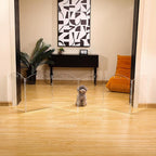 Extra-Wide Clear Acrylic Freestanding Dog Gates for The House – Folding 6-Panel Pet Gates for Doorways, Stairs, and Open Spaces, Transparent Indoor Barrier for Dogs, Puppies & Cats