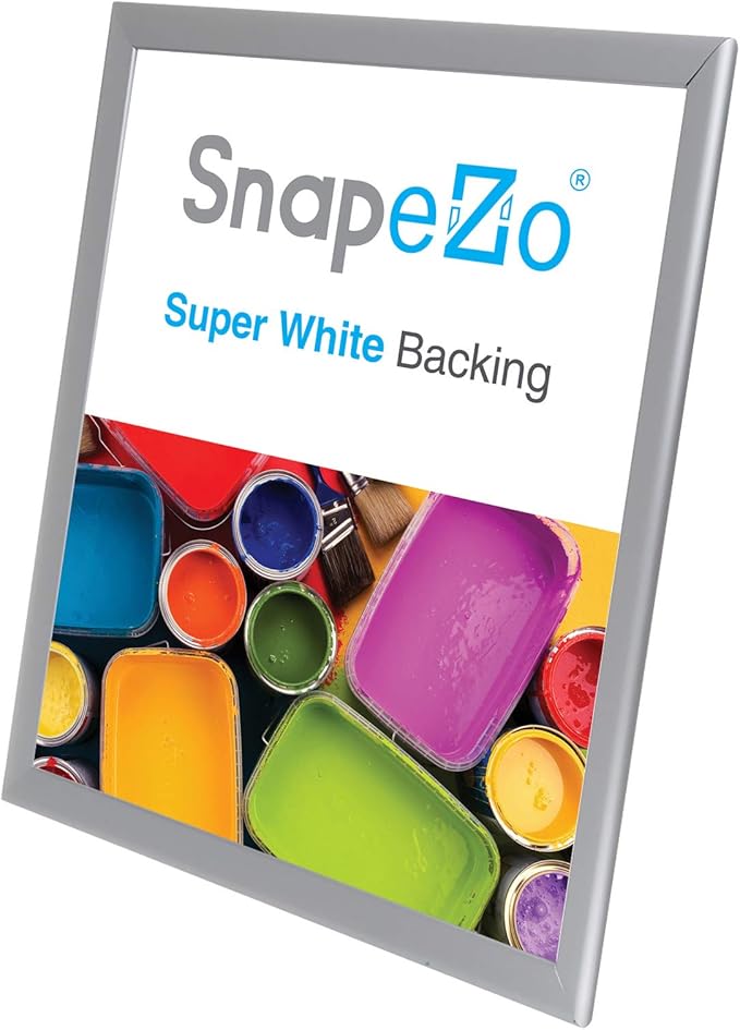 SnapeZo Poster Frame 22x28, Silver, 1.25 Inch Aluminum Profile, Front-Loading Snap Frame, Wall Mounting, Professional Series