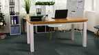 Mohawk Advance 24" x 24" Berber (Loop pile), 0.09" Pile Height, Carpet Tile, PET Fiber, Special Story Color, (24 Tiles), (96 sqft/carton)