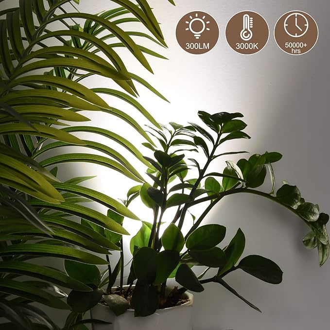 2 Pack LED Spot Lights - Dimmable with Timer & Remote,3W 3000K-5000K, 5.9FT Cord for Paintings,Wall Art, Indoor Plants & Home Accent Lighting