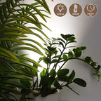 2 Pack LED Spot Lights - Dimmable with Timer & Remote,3W 3000K-5000K, 5.9FT Cord for Paintings,Wall Art, Indoor Plants & Home Accent Lighting
