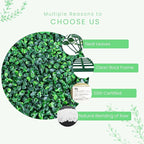 20''x20'' 24 Pieces (66.6 Sq.Ft) Artificial Hedge Boxwood Panels UV Protected Faux Topiary Grass Wall Panels Green Greenery Hedge Plants Backdrop for Indoor Outdoor Garden Backyard Patio