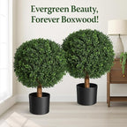 Real Touch Leaves Artificial Topiary Trees, 24" T with 17" W Faux Boxwood, Set of 2 UV Resistant Plants, Decorative Indoor Outdoor Trees with 6"x5" Pots for Home, Office, and Garden Decor