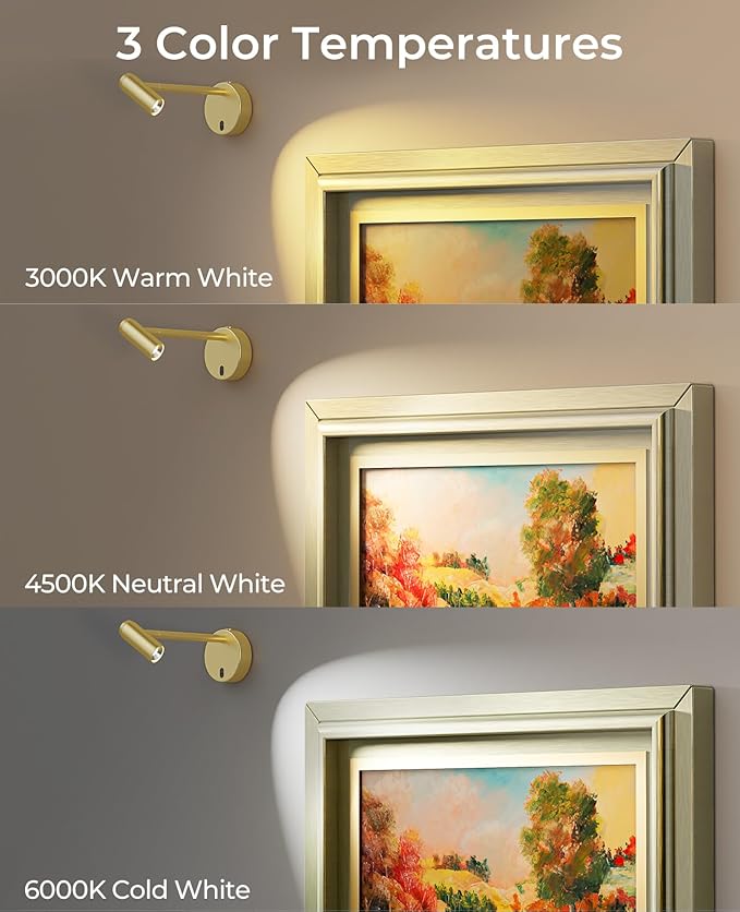 Picture Light for Wall, Battery Operated Art Light for Paintings CCT Dimmable Recharging Gallery Battery Wall Light with Remote Control for Living Room Gallery Dartboard Art Bathroom